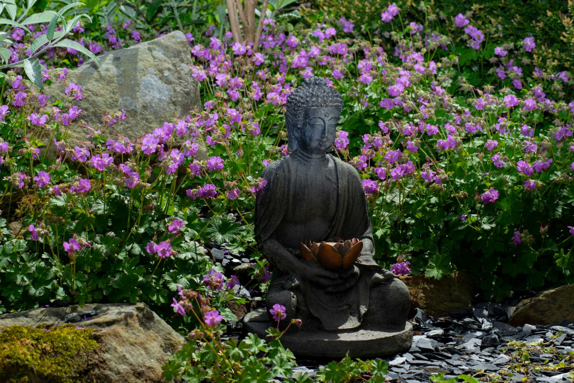 Creating a Spiritual Garden 💫